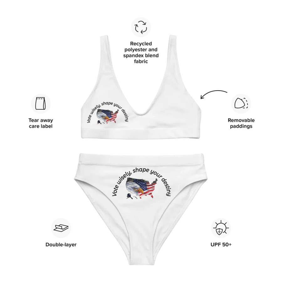 Vote wisely, shape your destiny. product image (3)