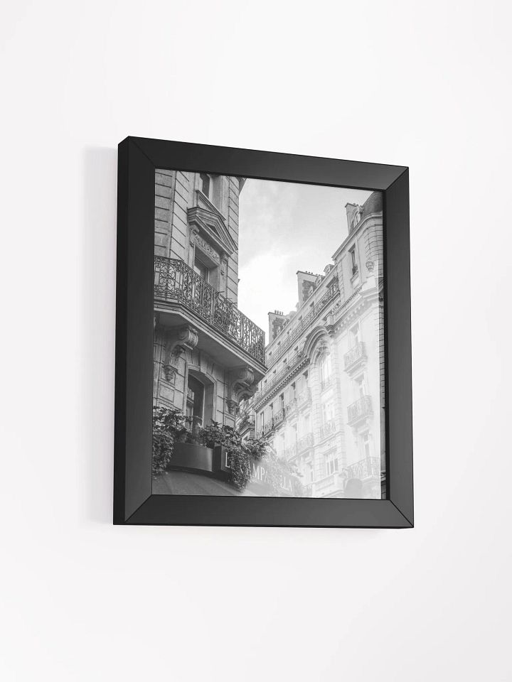 Haussmann Paris - Black & White product image (10)