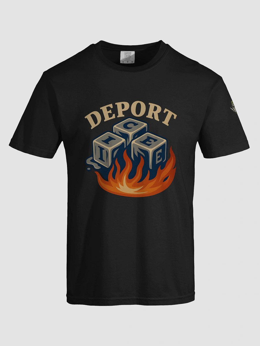 Melting ICE Flames T-Shirt product image (34)