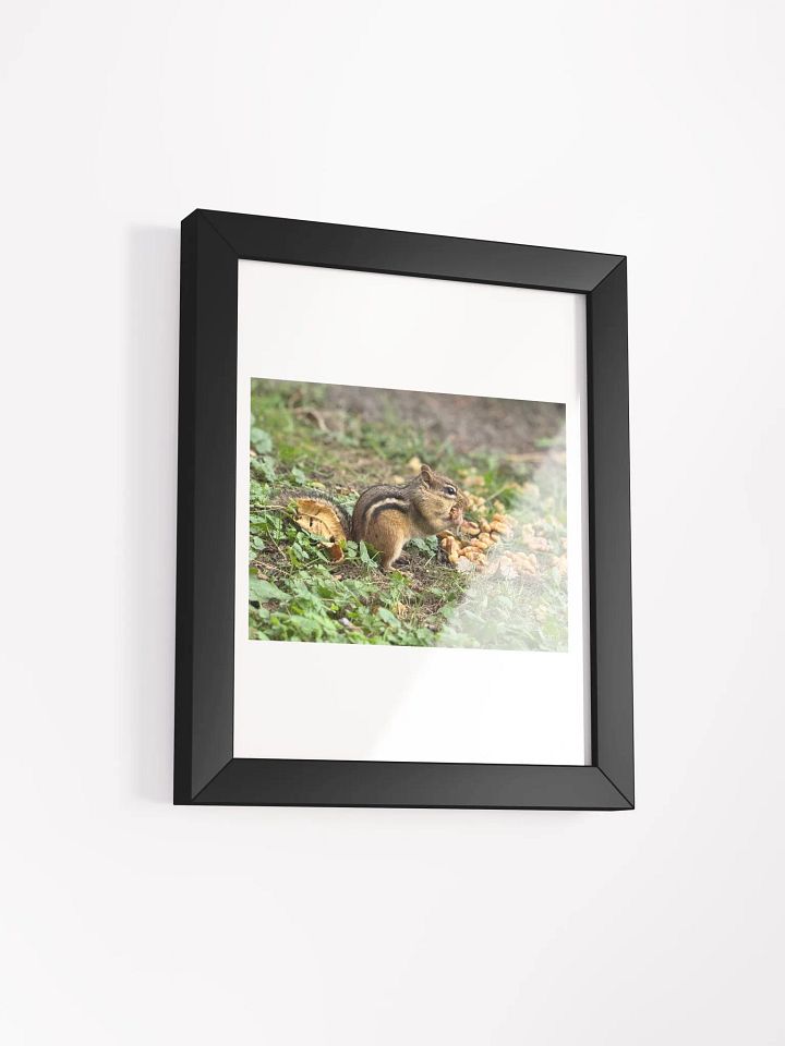 Chipmunk Delight Matte Poster product image (12)