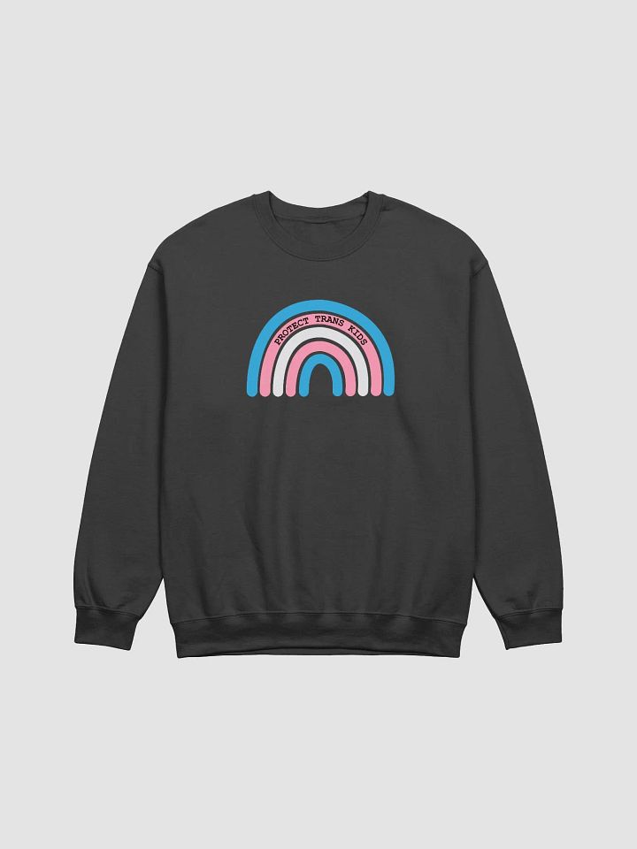 Protect Trans Kids Crewneck product image (7)