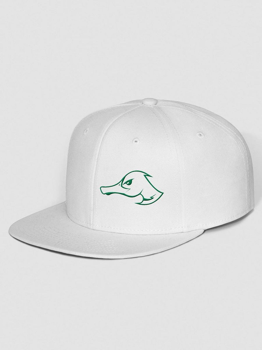 Ducks Outline Snapback product image (12)