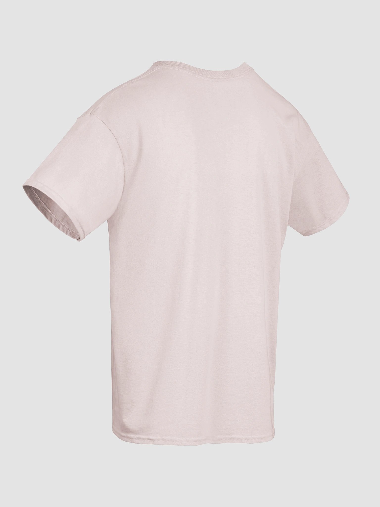 Healthy Wealthy Vegetarian & Vegan T-Shirt product image (10)
