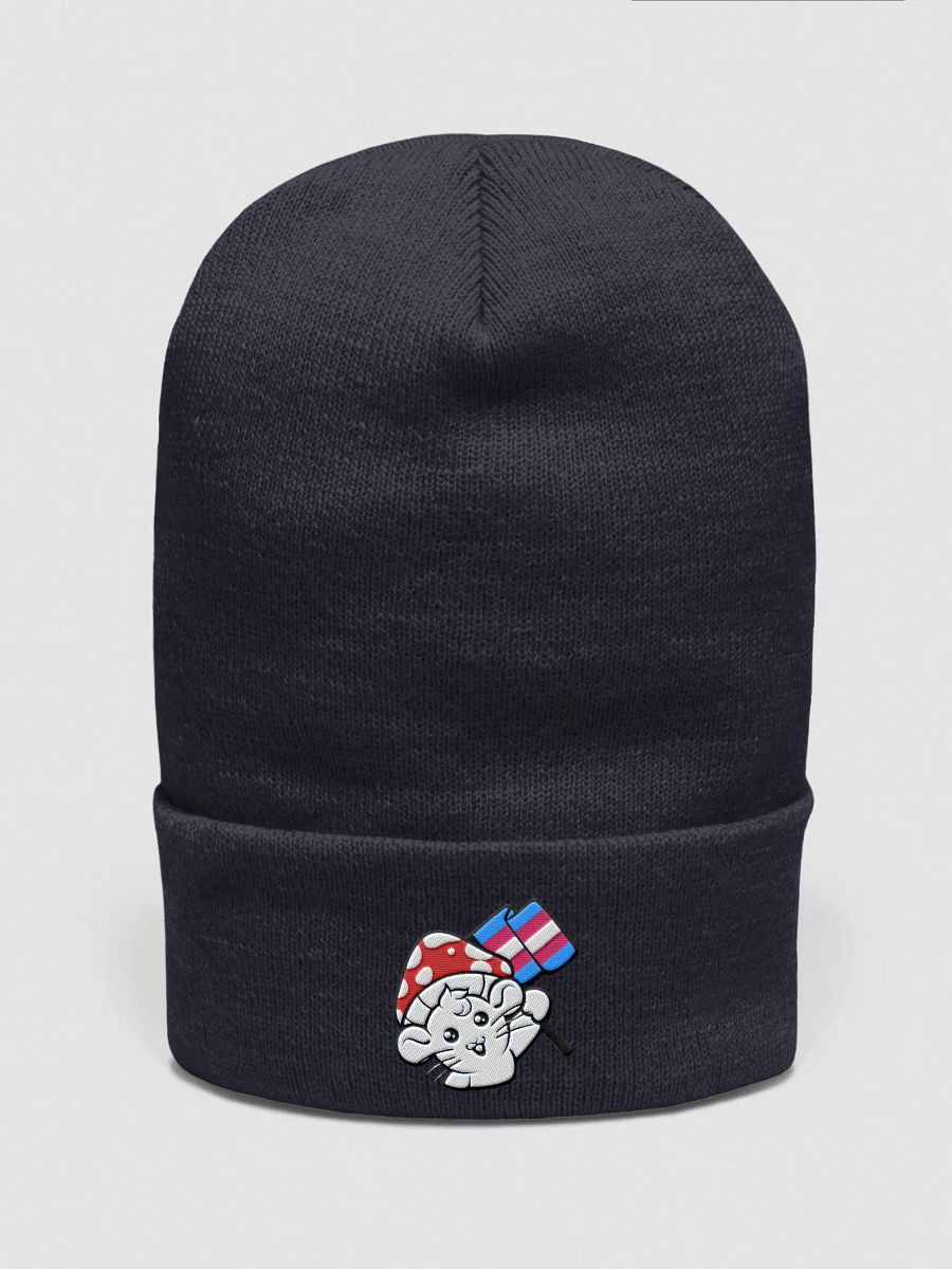 Transgender beanie product image (6)