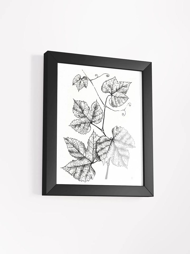 Intricate Vine Line Art Poster - Grape Leaves product image (6)