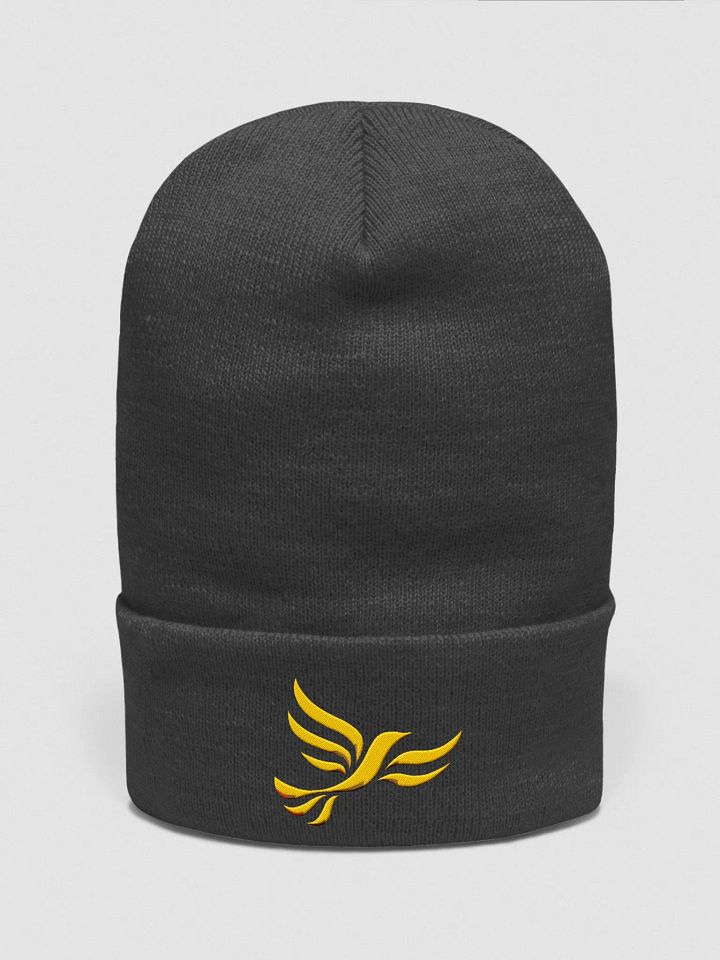 Charcoal Beanie with Libby product image (1)
