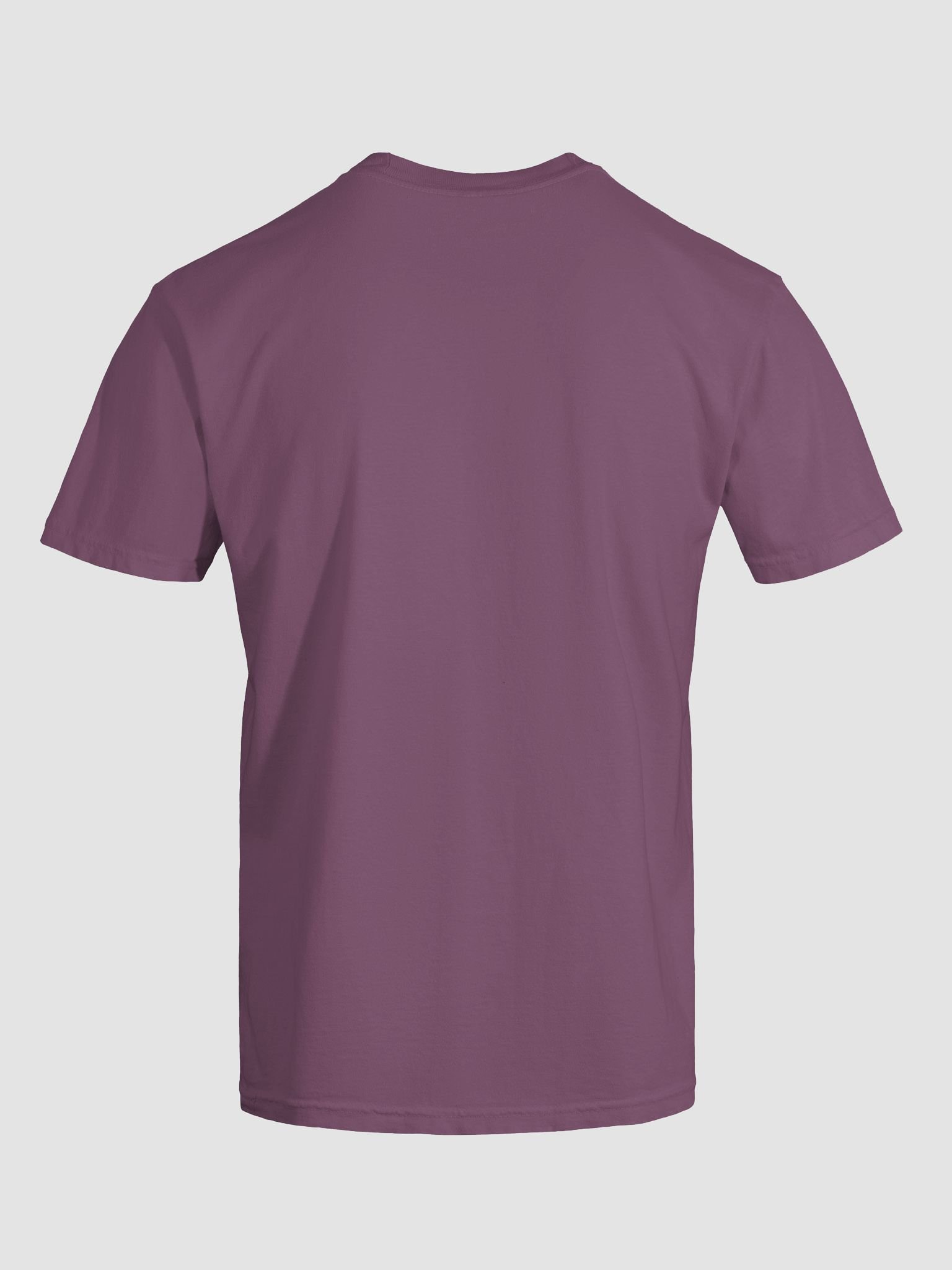 It's Not Just a Phase- Non Binary T Shirt product image (41)