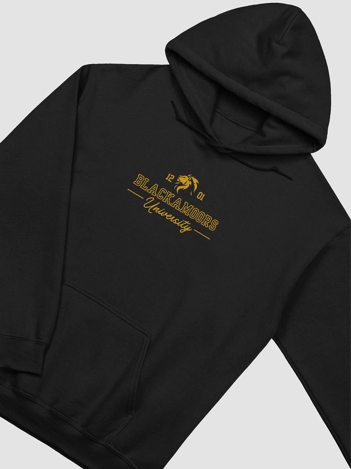 Blackamoors University product image (2)