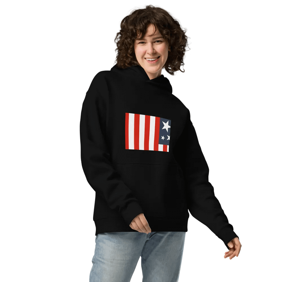 Stars & Stripes Oversized Hoodie product image (3)