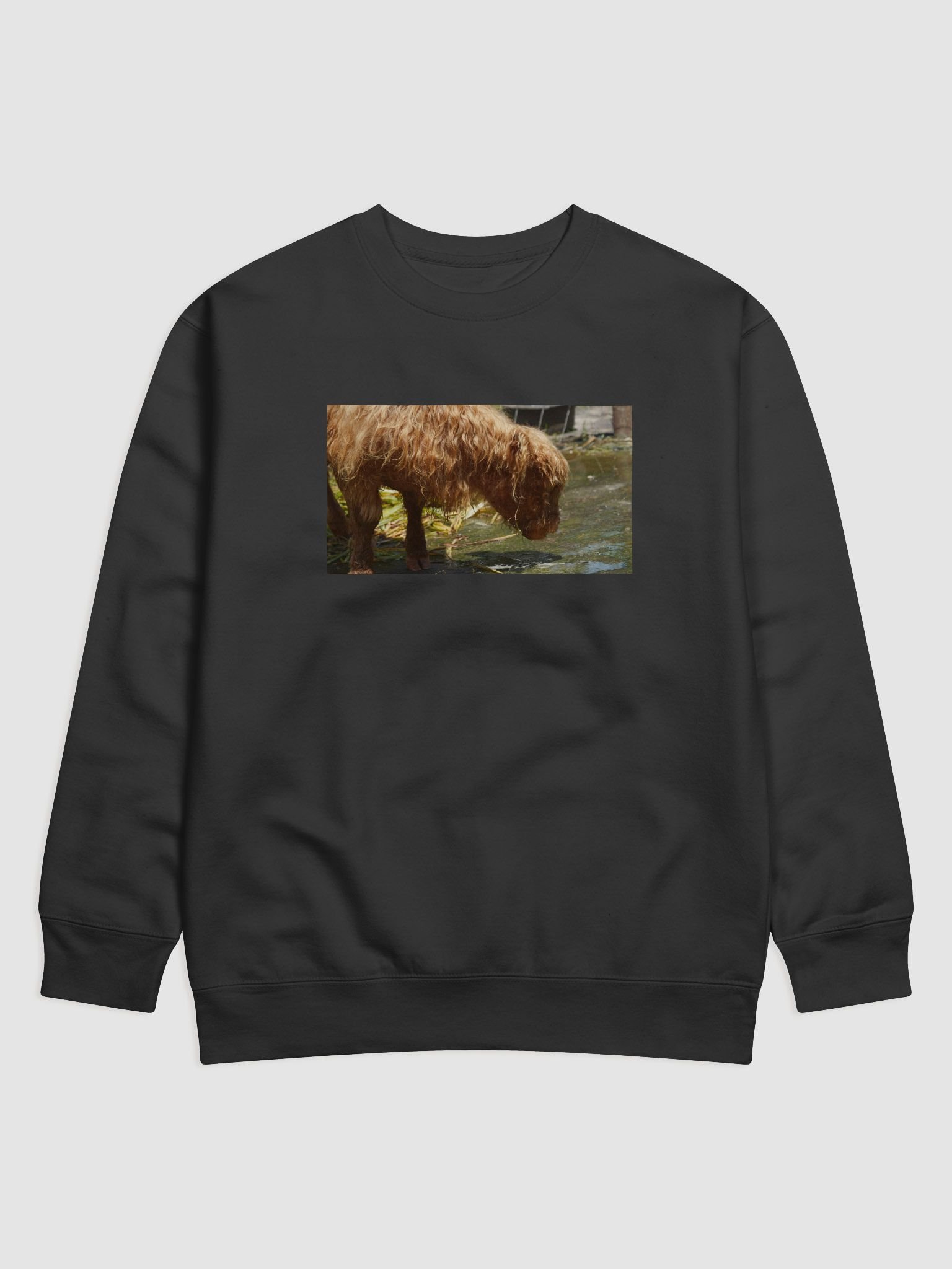 Shaggy Brown Cozy Sweatshirt product image (1)