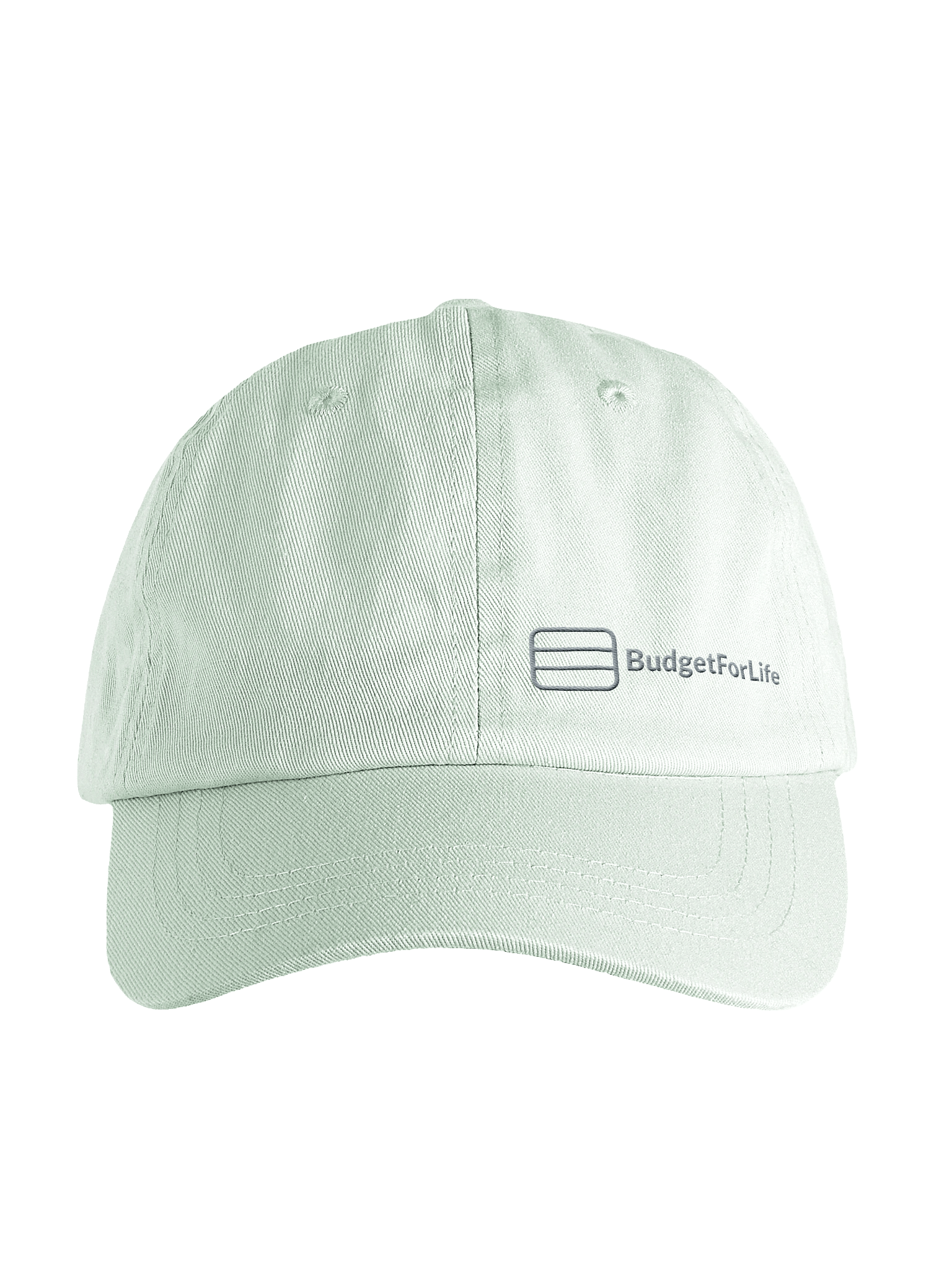 Embroidered BudgetForLife Hat product image (1)