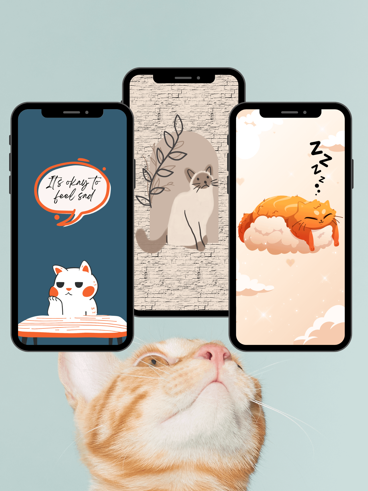 Aesthetic Cute Cat Phone Wallpaper (Set of 15) product image (7)