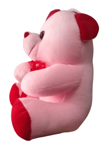 Small Teddy Bear product image (2)