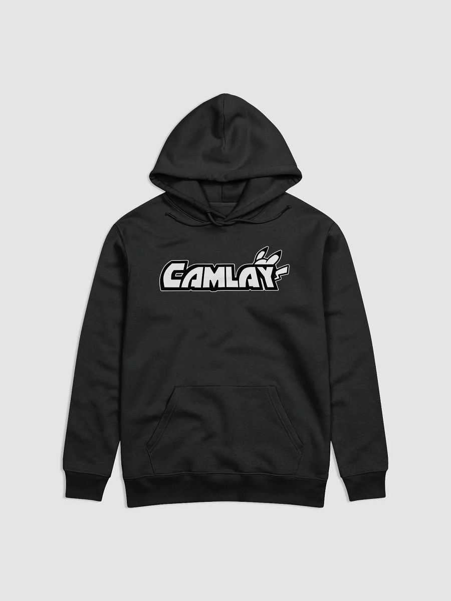 Thick Warm Camlay Logo Hoodie product image (5)