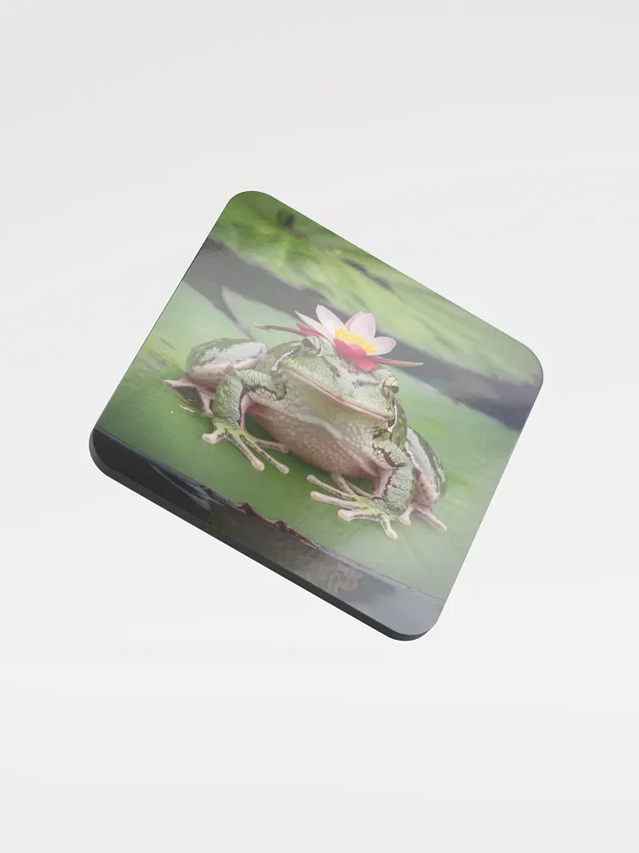 Frog Coaster product image (1)