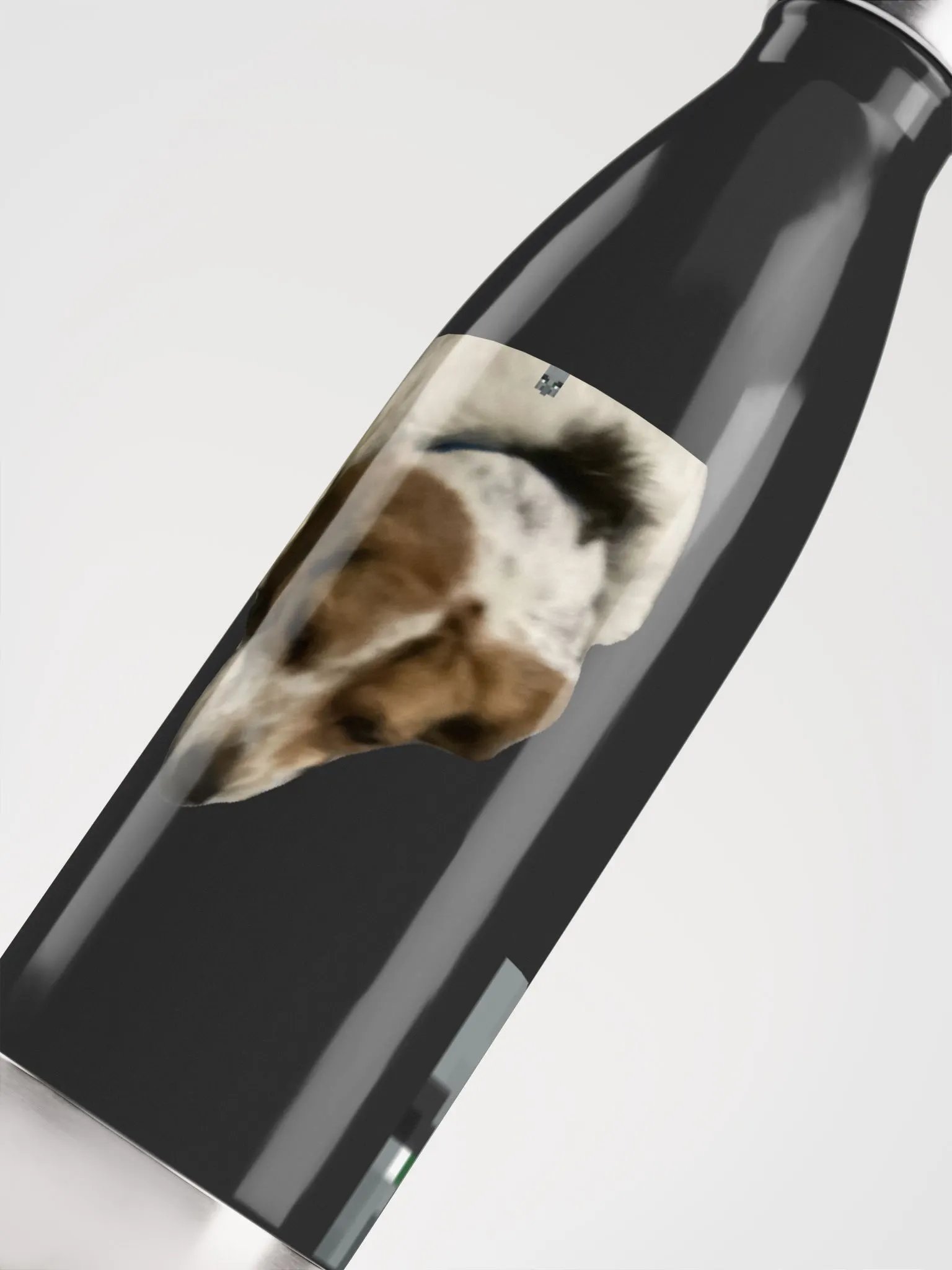 Stainless Water Bottle product image (10)