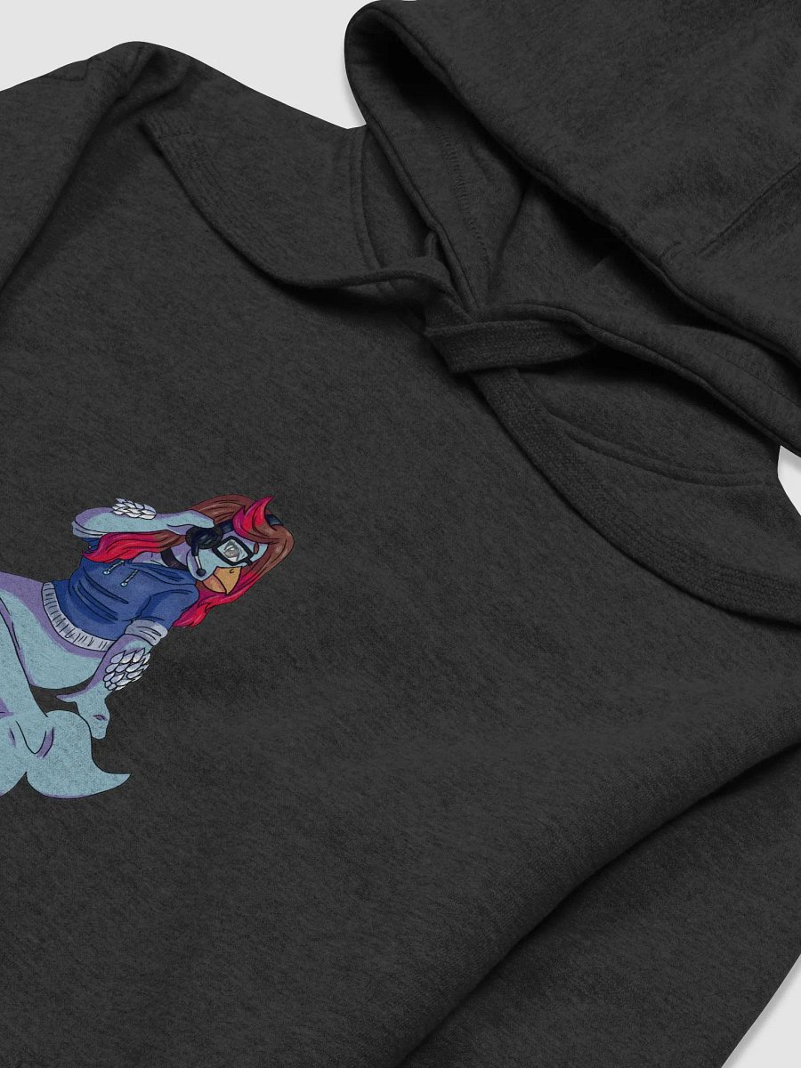 Priz DC Hoodie product image (3)