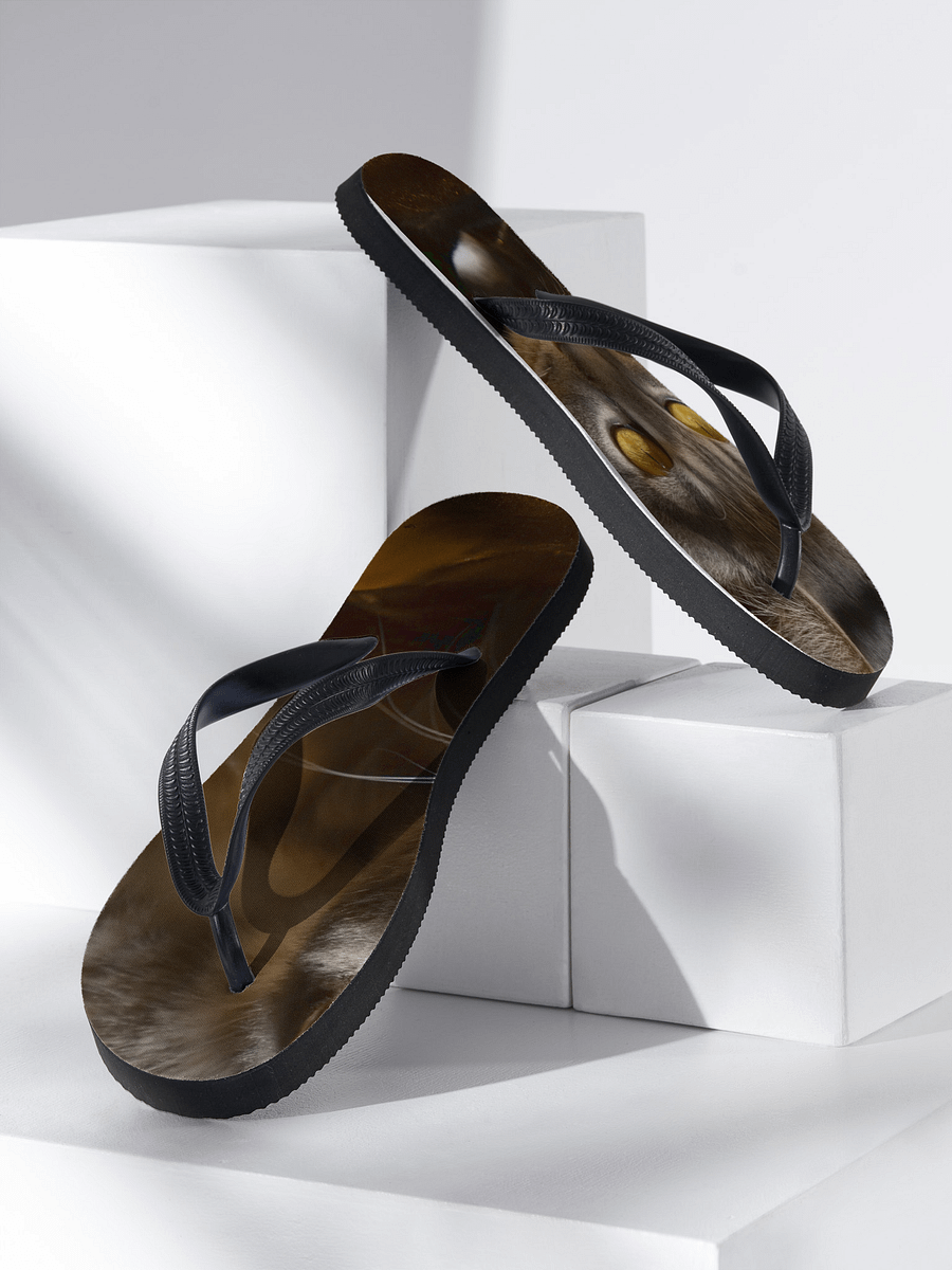 tabby Cat Eyes Flip-Flops product image (2)