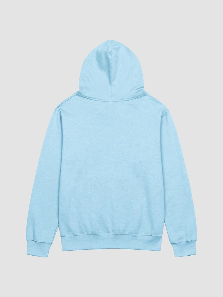 Upscale Love is Love Hoodie. product image (23)