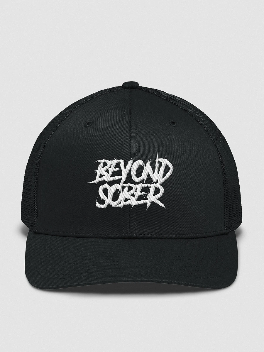 Beyond Sober | Animal Style Hat product image (1)