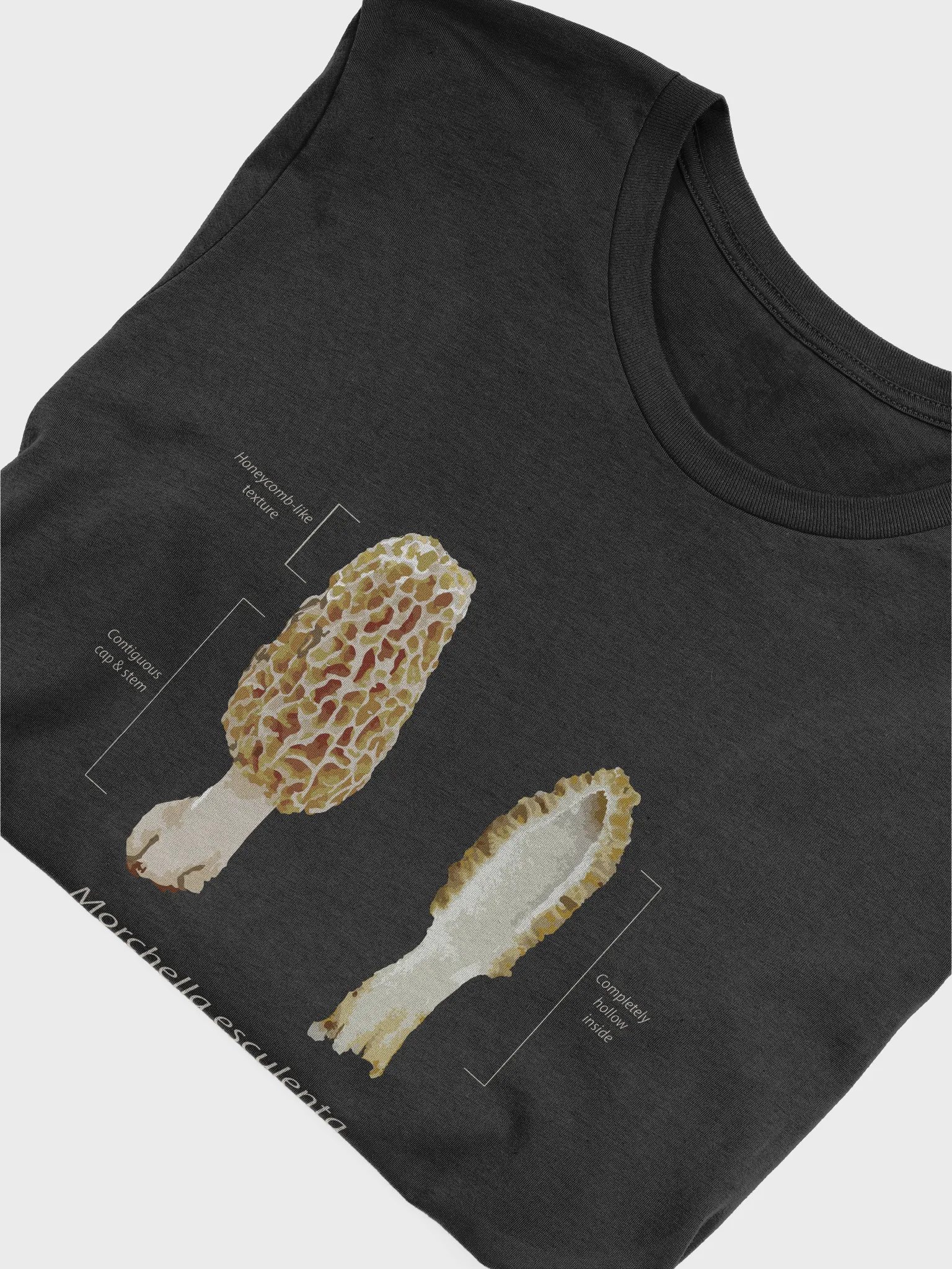 Morel Identification Black T-shirt product image (5)