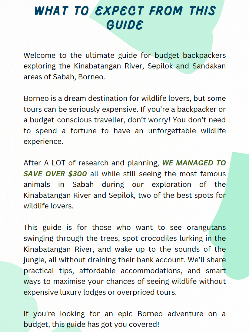 Backpacker’s Guide to Kinabatangan, Sepilok & Sandakan product image (3)