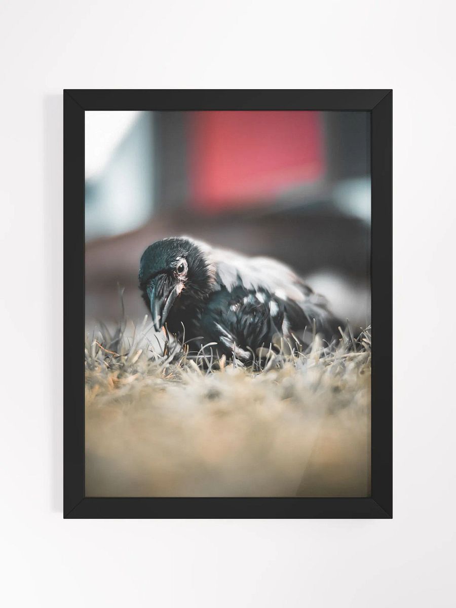 Hafez's Garden Adventure product image (1)