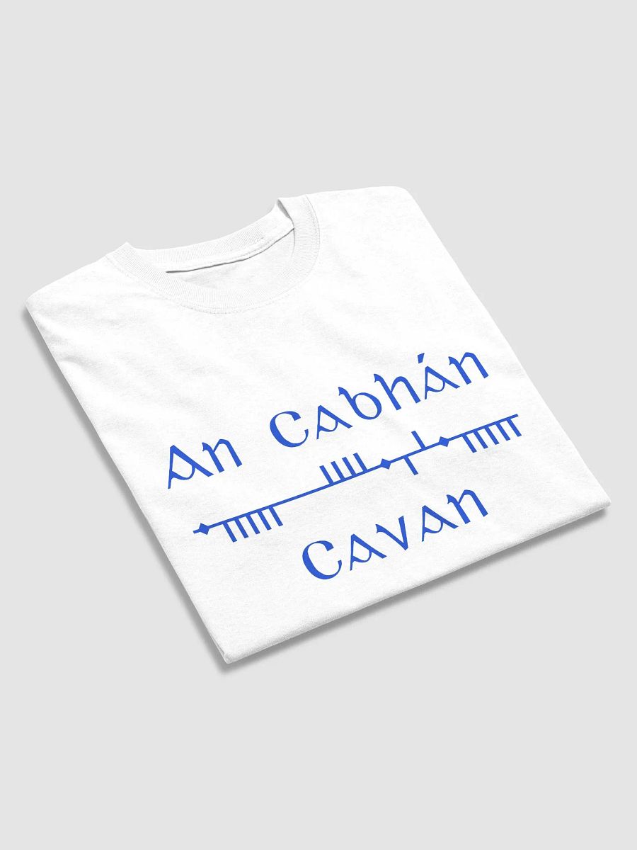 Cavan/An Cabhán white Scholastic Style Ogham printed T-shirt product image (3)