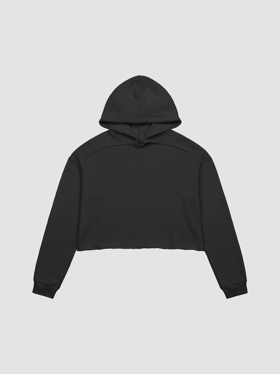 Cropped Since DayOne Hoodie product image (1)