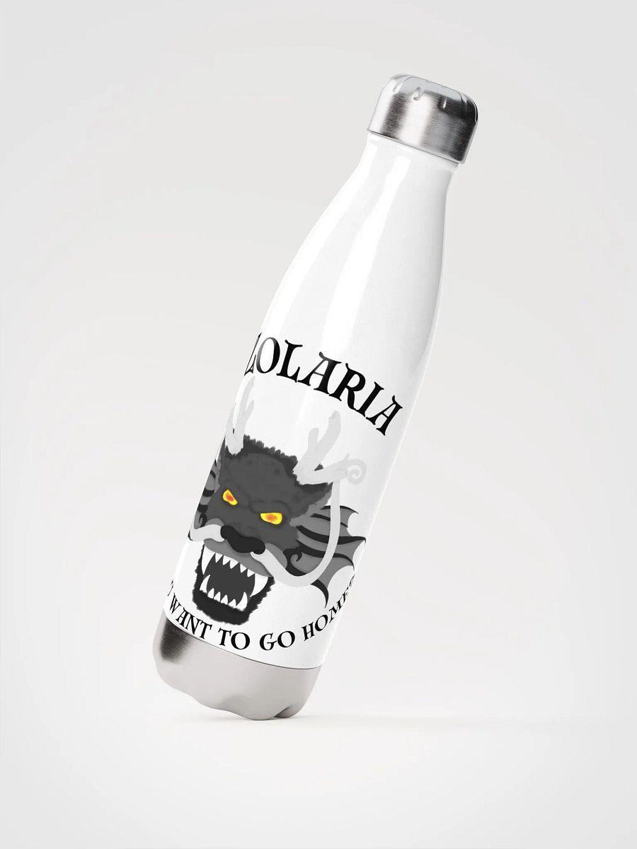 Do you want to go home? Waterbottle product image (2)