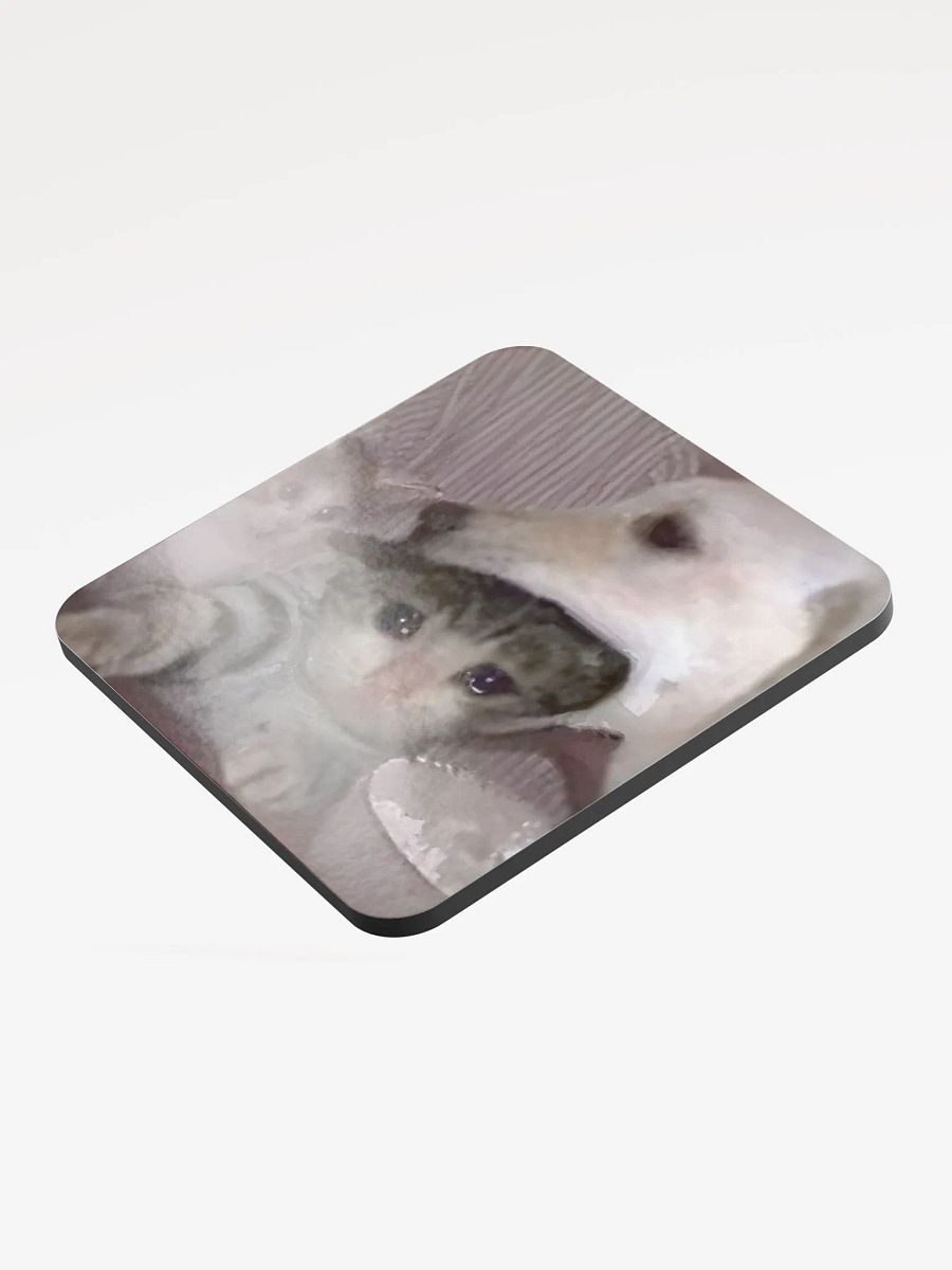 Glossed Cork Coaster: Meme Cats product image (3)