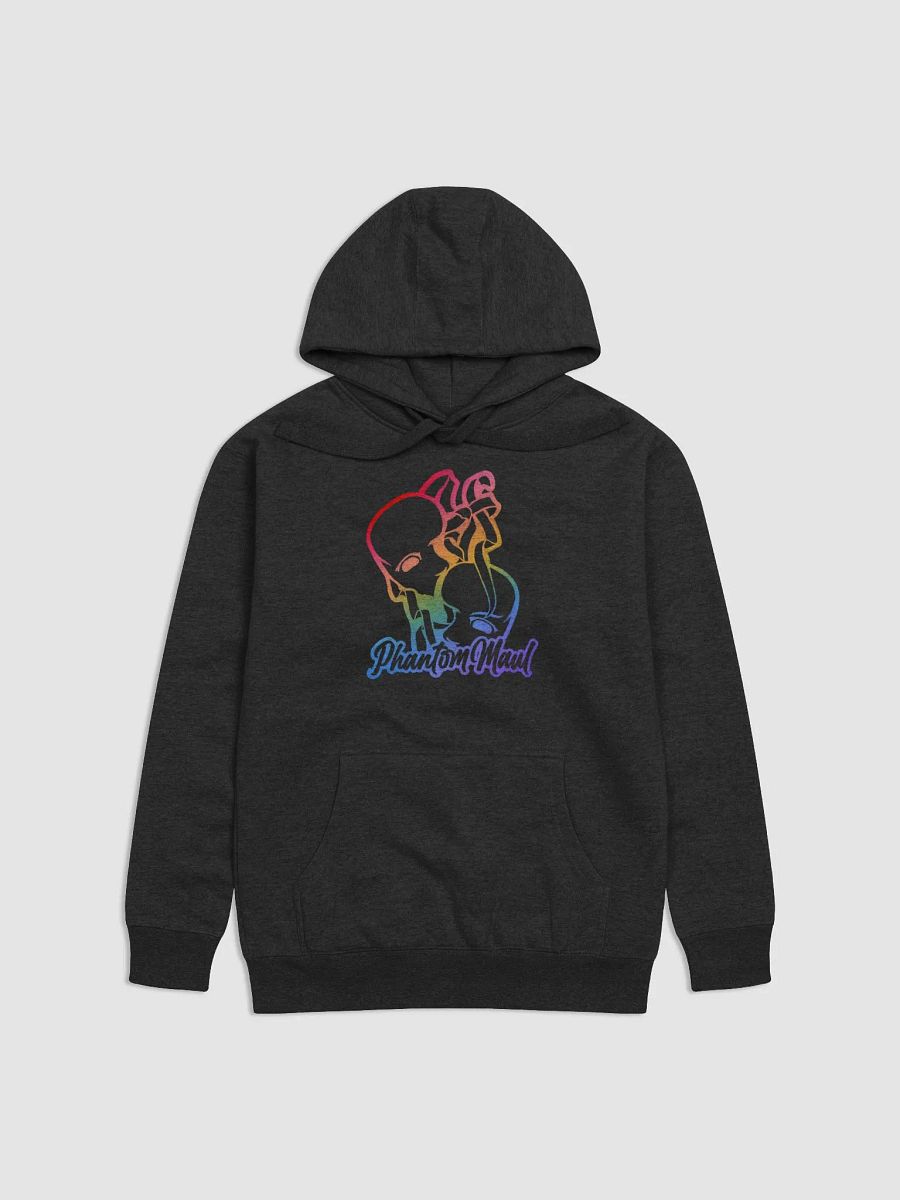 Rainbow Big Logo Premium Hoodie product image (4)