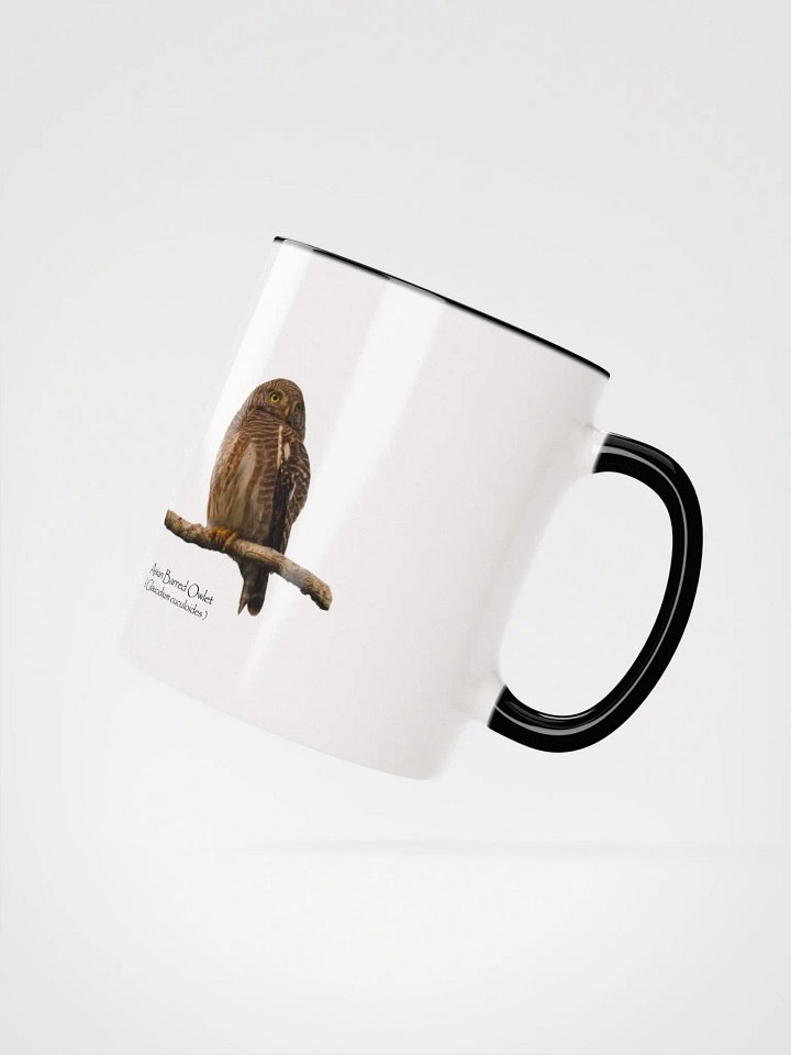Asian Barred Owlet mug product image (19)