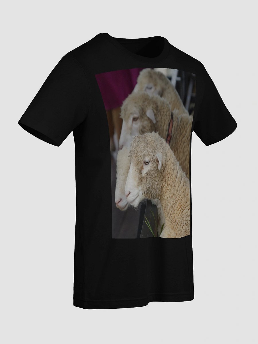Curly Comfort Sheep T-Shirt product image (9)