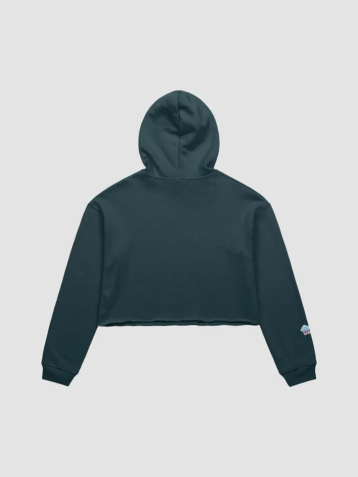Gaytorade Boba Cropped Hoodie product image (12)