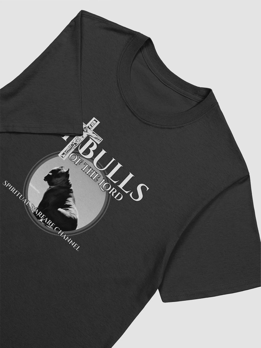 Pitbulls Of The Lord T-Shirt product image (5)