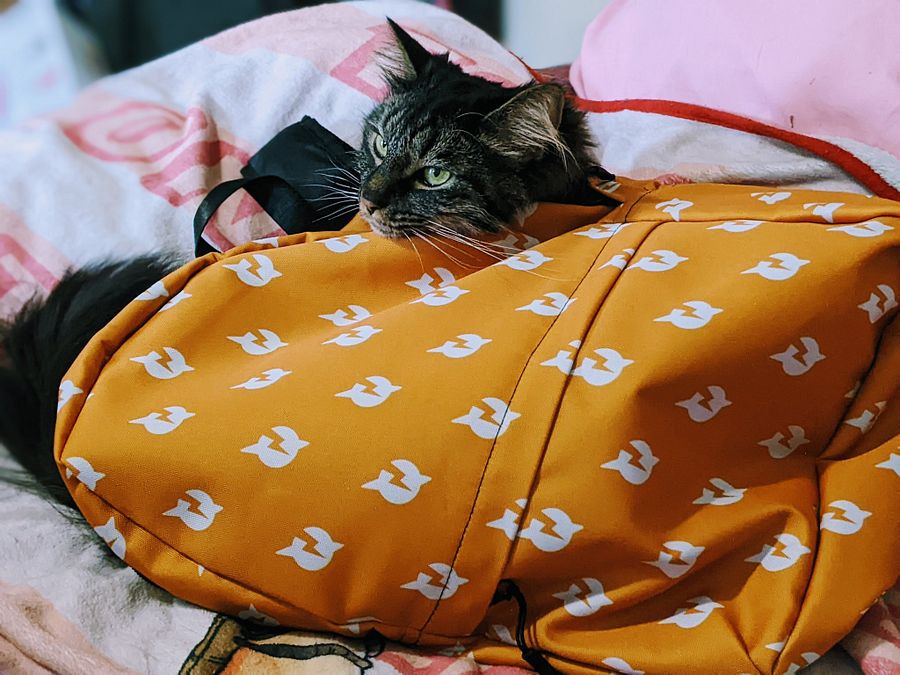 Thundabit Orange Backpack product image (4)