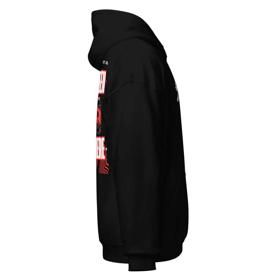 Embroidered Signature SBH Hoodie product image (4)
