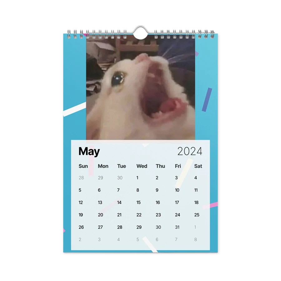 Wall Calendar (2024): Meme Cats product image (14)