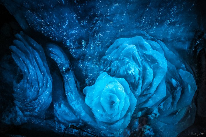 Prestige Fine Art - Frozen Bloom - Limited Edition product image (1)