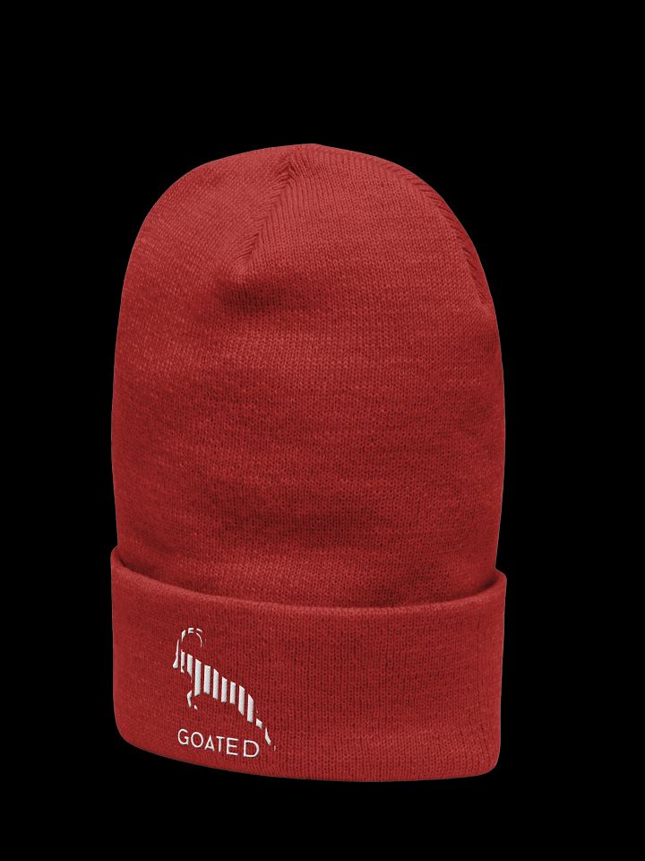 Goated Originals Tall Cuff Futura Beanie product image (2)