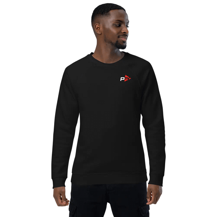 PTV Logo Unisex Sweatshirt product image (1)
