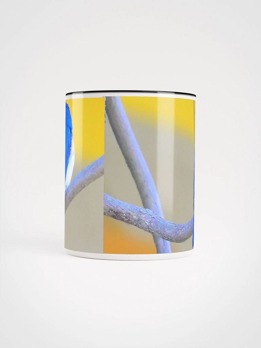 IUCAA Birds MUG product image (61)