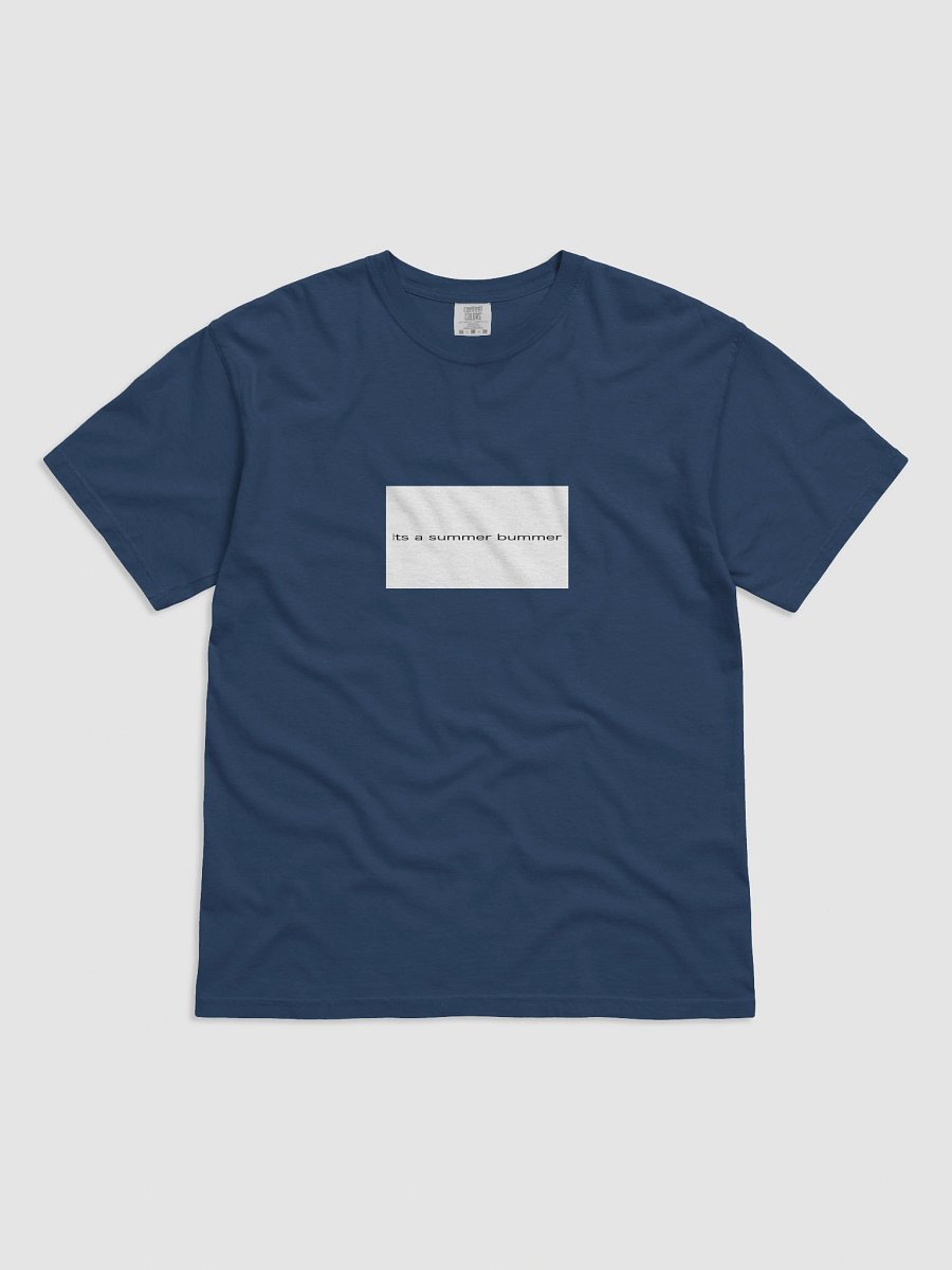 its a summer bummer product image (1)