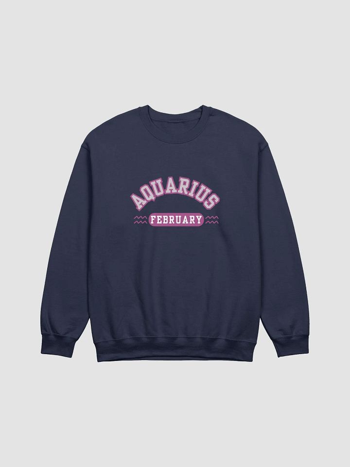 Aquarius February Zodiac Sign Sweatshirt product image (21)