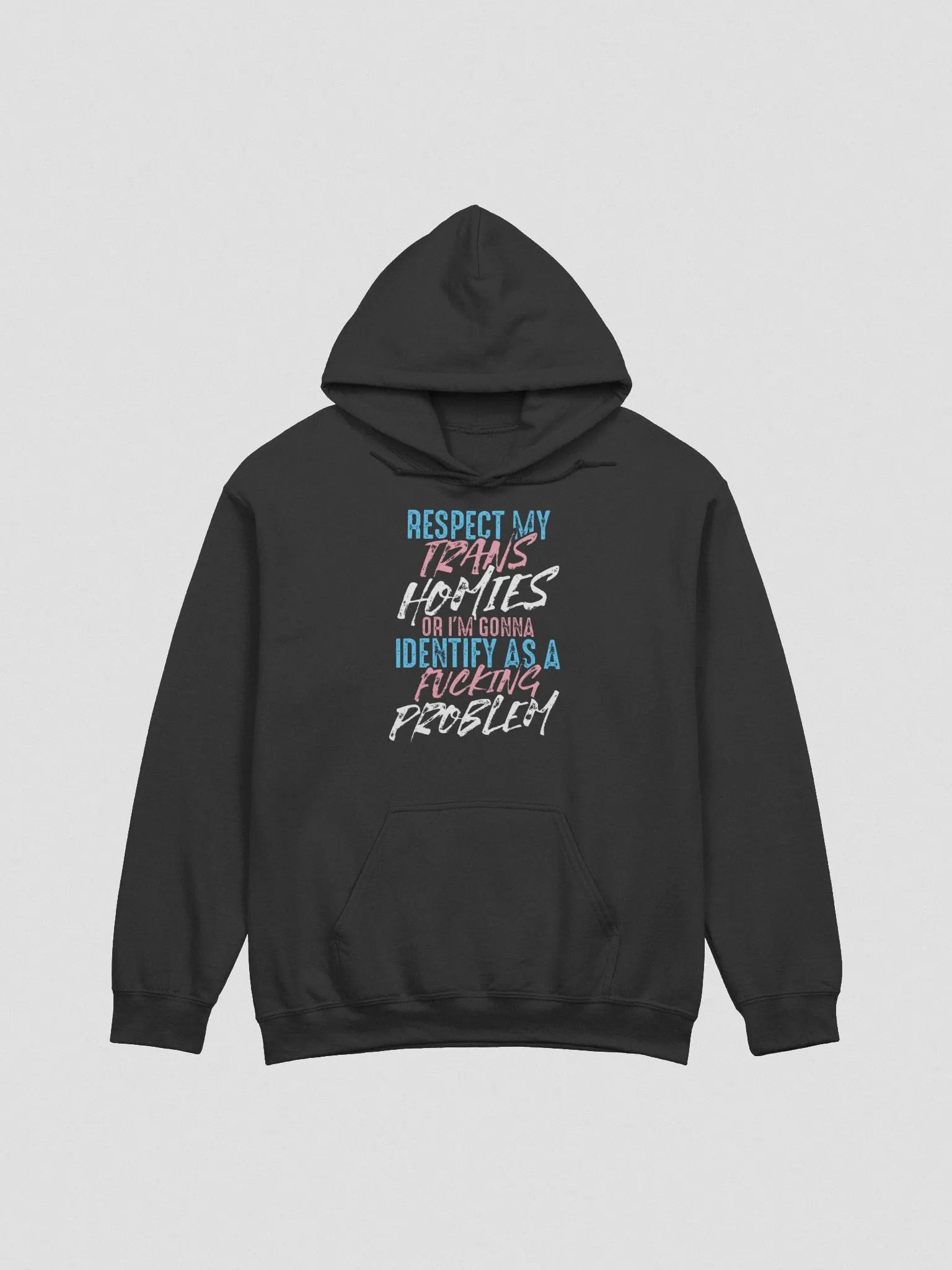 RESPECT TRANS HOMIES HOODIE product image (1)