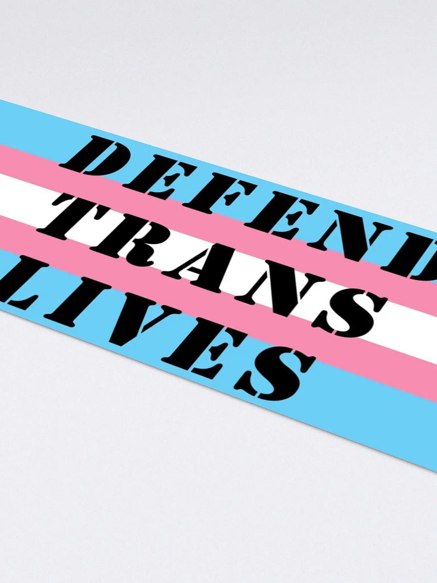 Defend Trans Lives - Bumper Sticker - Punisher product image (4)