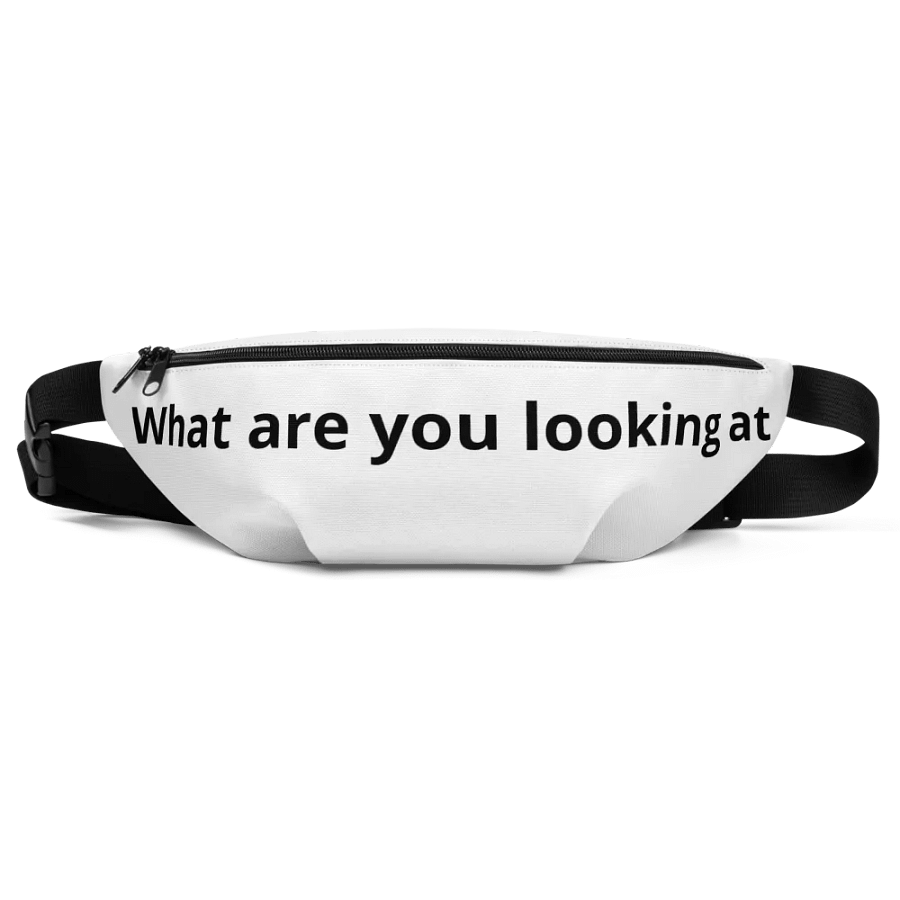 Fanny pack product image (1)