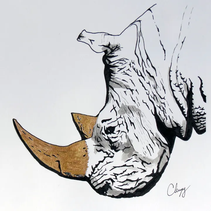 Rhinoceros - Original Drawing product image (2)