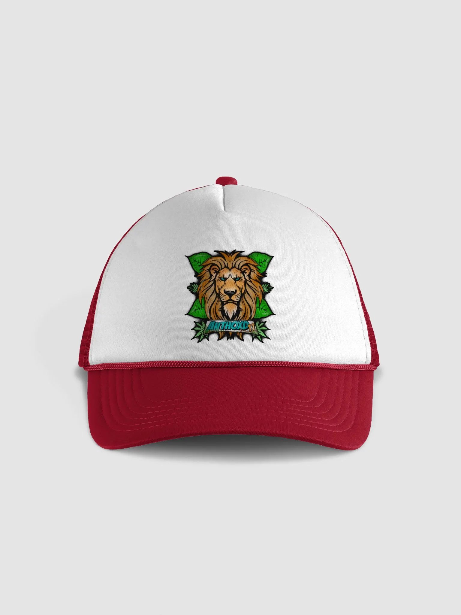 casquette anthoxd11 product image (2)